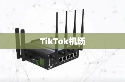 TikTok机场