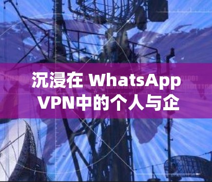 沉浸在 WhatsApp VPN中的个人与企业用户