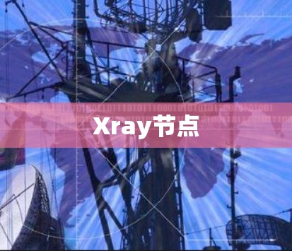 Xray节点