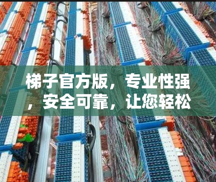 梯子官方版，专业性强，安全可靠，让您轻松提升空间！
