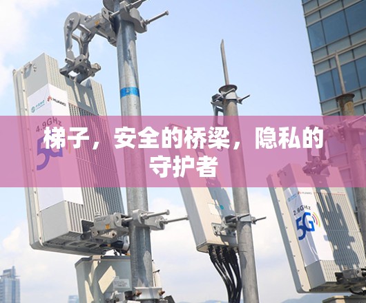 梯子,安全的桥梁,隐私的守护者