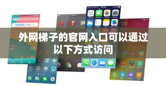 外网梯子的官网入口可以通过以下方式访问