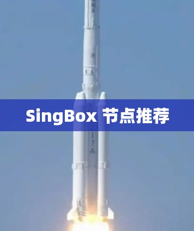 SingBox 节点推荐