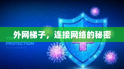 外网梯子,连接网络的秘密