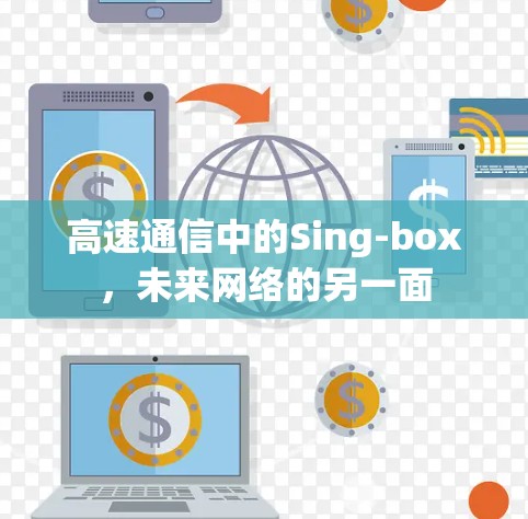 高速通信中的Sing-box，未来网络的另一面