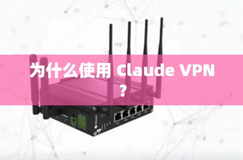 为什么使用 Claude VPN？
