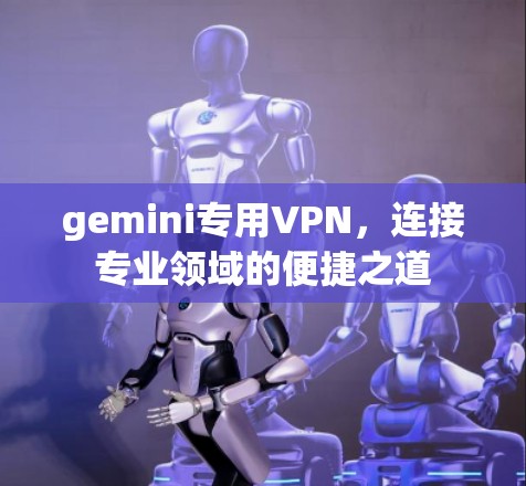 gemini专用VPN，连接专业领域的便捷之道
