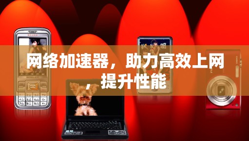 网络加速器，助力高效上网，提升性能