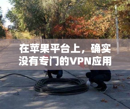 在苹果平台上，确实没有专门的VPN应用。然而，你可以通过以下方法来使用高速VPN服务