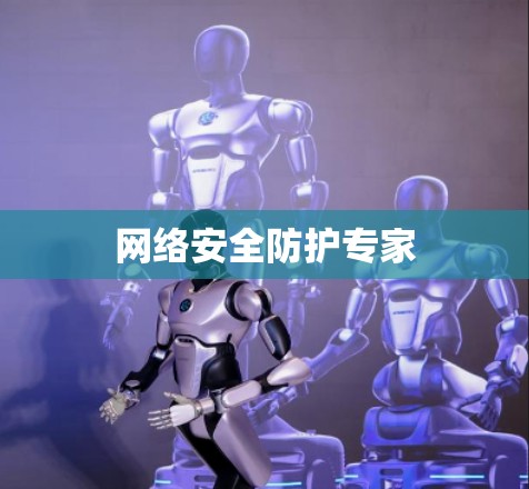 网络安全防护专家