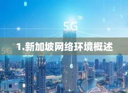 1.新加坡网络环境概述