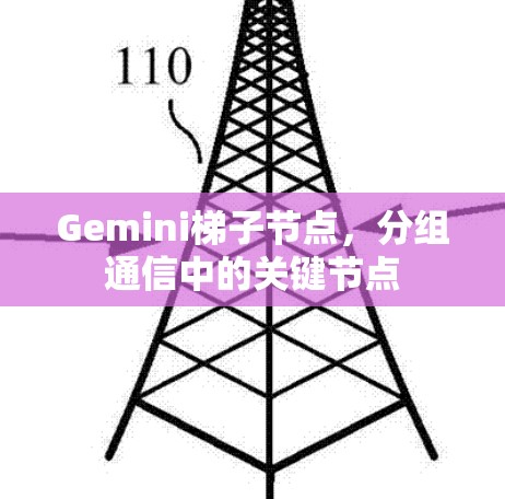 Gemini梯子节点，分组通信中的关键节点