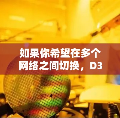 如果你希望在多个网络之间切换，D3Net VPN特别支持多条VPN连接，提供了更高的安全性和灵活性。如果你不确定如何使用这些VPN服务，可以参考其提供的一些教程或在线指南，以帮助你更好地配置和使用