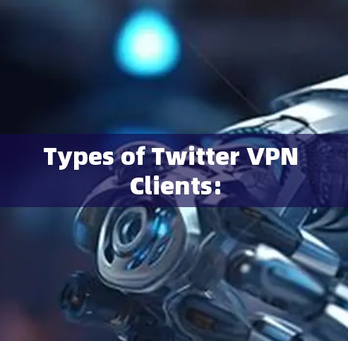 Types of Twitter VPN Clients: