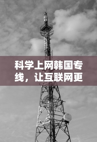 科学上网韩国专线，让互联网更高效