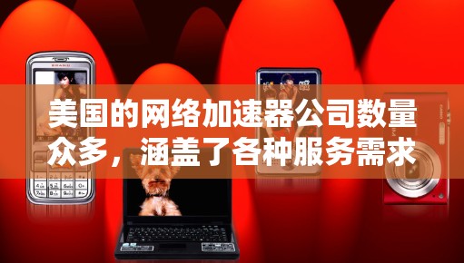 美国的网络加速器公司数量众多，涵盖了各种服务需求。以下是一些主要的美国网络加速器公司