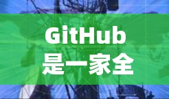 GitHub 是一家全球规模的开源项目社区，其主要运营和社区在线，但目前尚未正式建立国际网络支持。GitHub 的主要活动和社区主要集中在国内、香港和澳门等地区