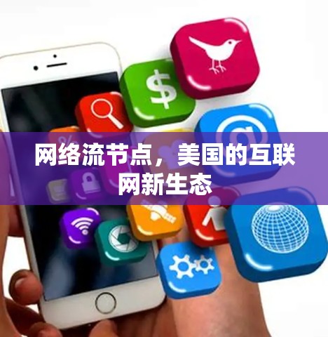 网络流节点,美国的互联网新生态