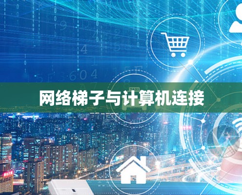 网络梯子与计算机连接