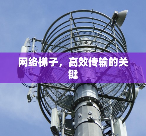 网络梯子，高效传输的关键