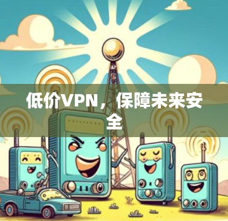 低价VPN，保障未来安全