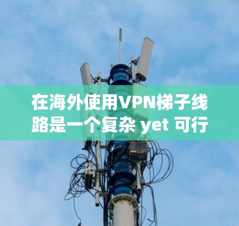 在海外使用VPN梯子线路是一个复杂 yet 可行的解决方案，以下是对该问题的详细分析和总结