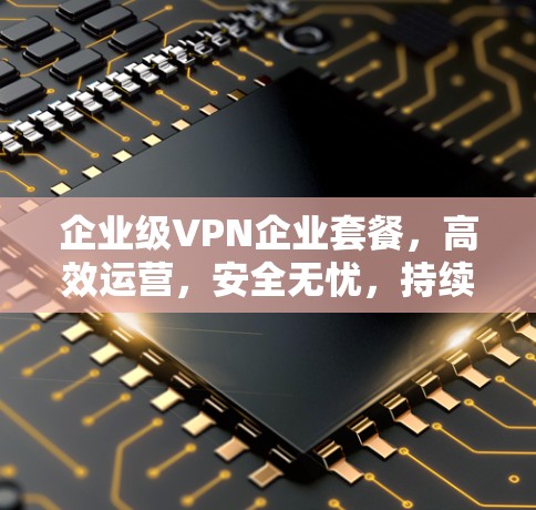 企业级VPN企业套餐,高效运营,安全无忧,持续增长