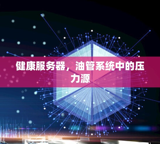 健康服务器,油管系统中的压力源