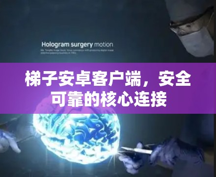 梯子安卓客户端，安全可靠的核心连接