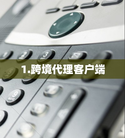1.跨境代理客户端