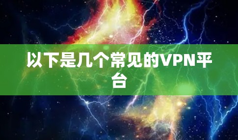 以下是几个常见的VPN平台