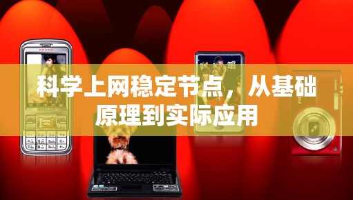 科学上网稳定节点,从基础原理到实际应用