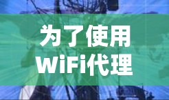 为了使用WiFi代理工具访问目标网络，您可以按照以下步骤操作