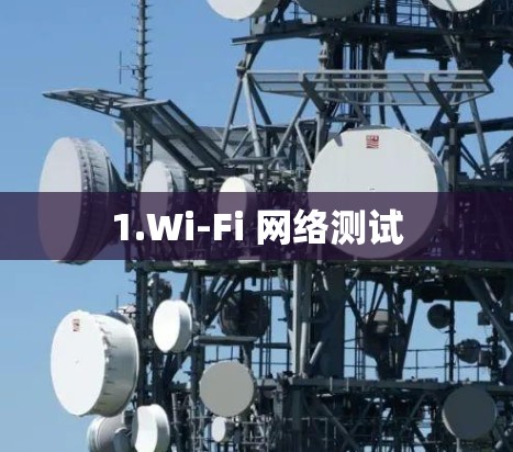 1.Wi-Fi 网络测试