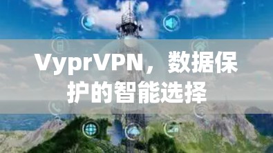 VyprVPN，数据保护的智能选择