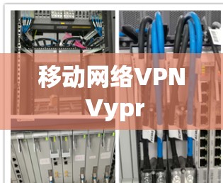 移动网络VPN Vypr
