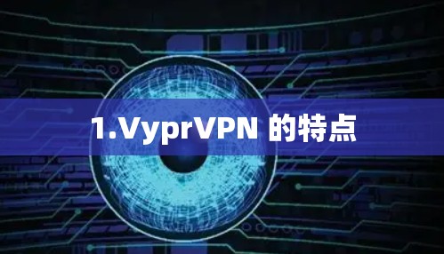 1.VyprVPN 的特点