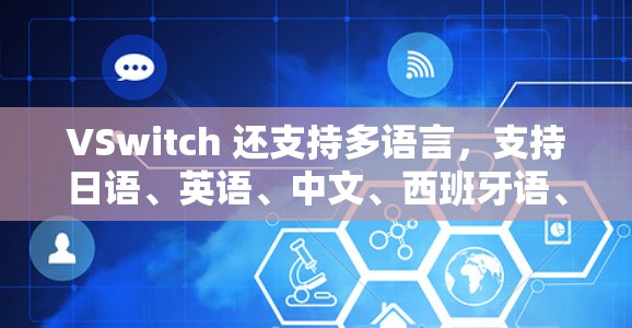 VSwitch 还支持多语言,支持日语、英语、中文、西班牙语、法语、德语、俄语、意大利语、西班牙语、日语、瑞典语、挪威语等等,这使得它适合全球用户使用