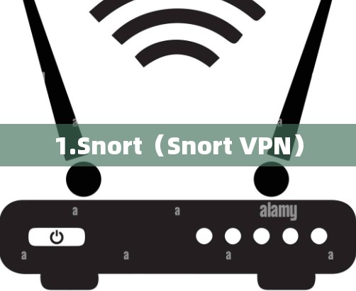 1.Snort（Snort VPN）