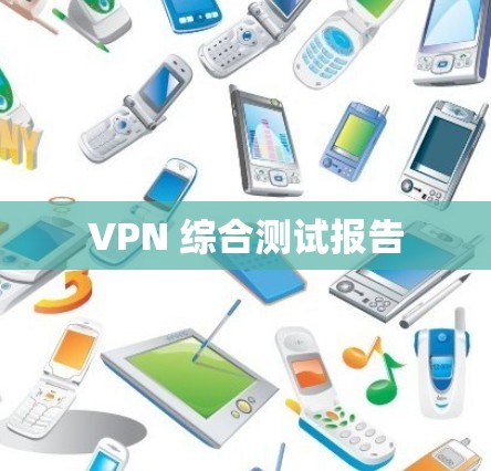 VPN 综合测试报告