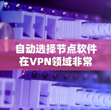 自动选择节点软件在VPN领域非常有用，为用户提供了灵活和高效的网络管理解决方案。以下是详细的步骤指南，帮助您更好地使用这些软件