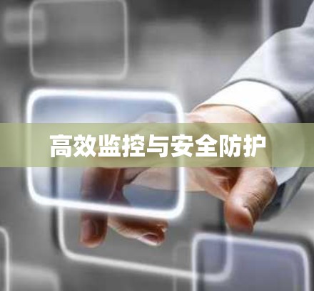 高效监控与安全防护