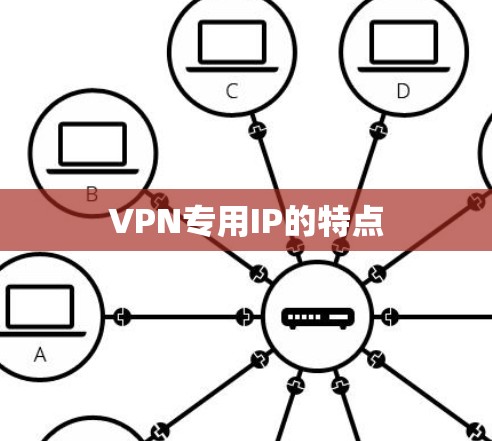 VPN专用IP的特点