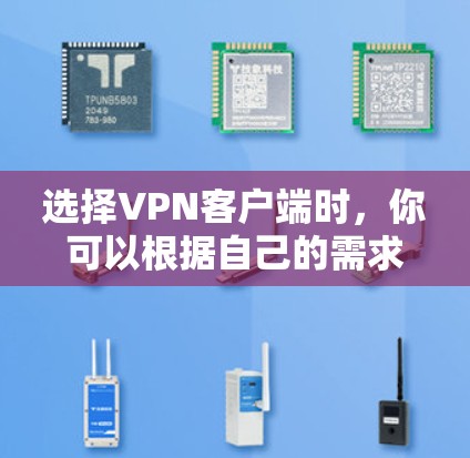 选择VPN客户端时，你可以根据自己的需求、预算和喜好来选择最适合的。以下是几个推荐的VPN专业客户端