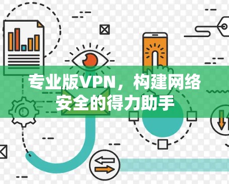 专业版VPN，构建网络安全的得力助手