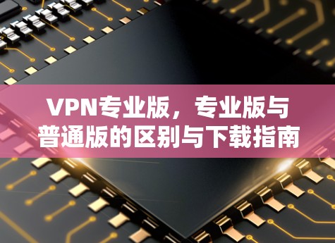 VPN专业版,专业版与普通版的区别与下载指南 VPN专业版,专业版与普通版的区别与下载指南