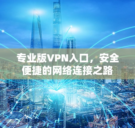 专业版VPN入口,安全便捷的网络连接之路 专业版VPN入口,安全便捷的网络连接之路
