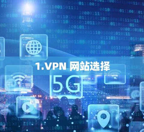 1.VPN 网站选择