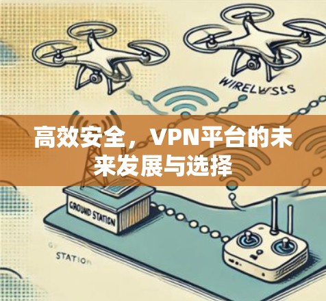 高效安全,VPN平台的未来发展与选择