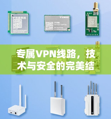 专属VPN线路，技术与安全的完美结合